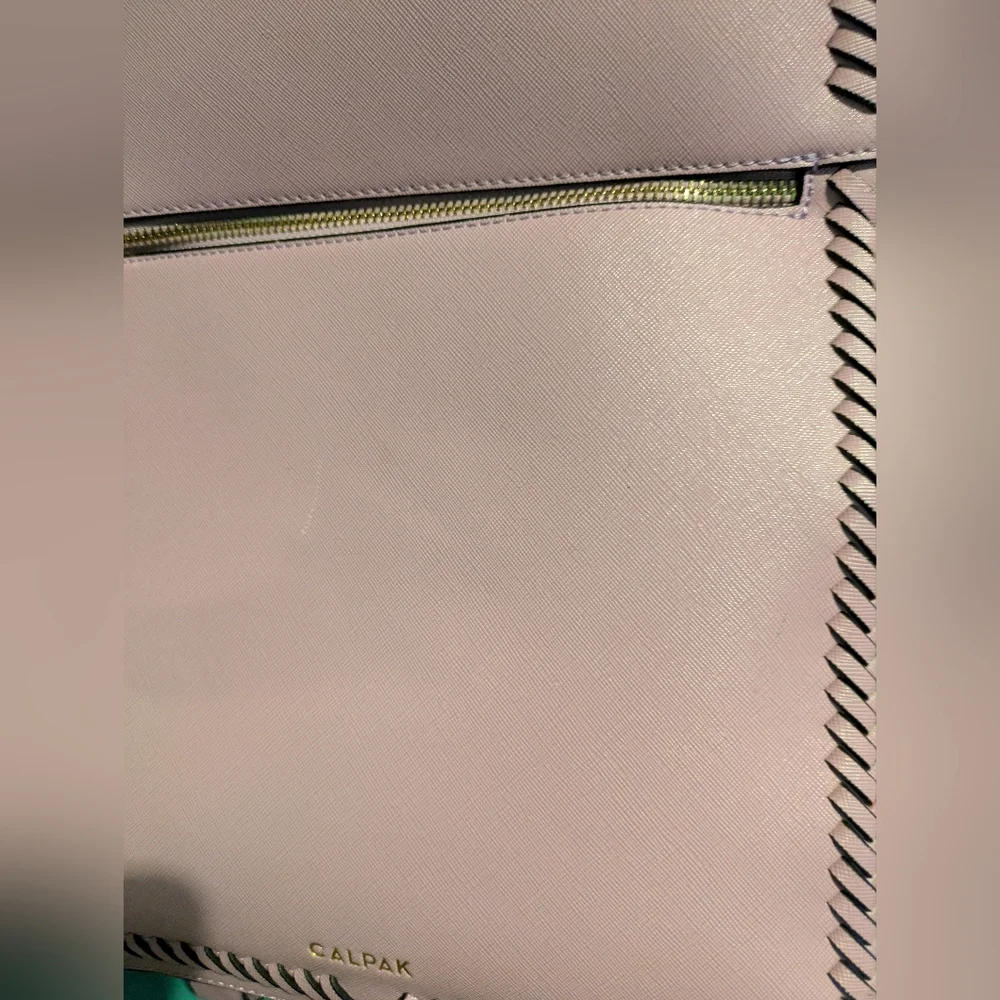 Calpak stylish functional
